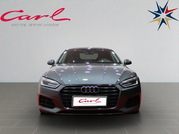 AUDIA5TSFIGRAU_01