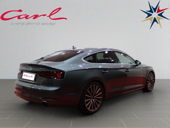 AUDIA5TSFIGRAU_07
